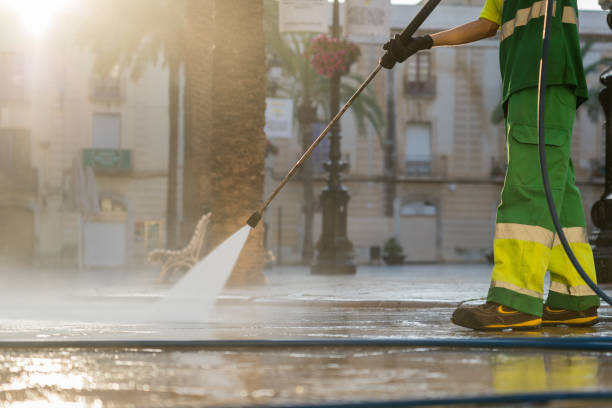 Best Fence Pressure Washing  in Crest Hl, IL